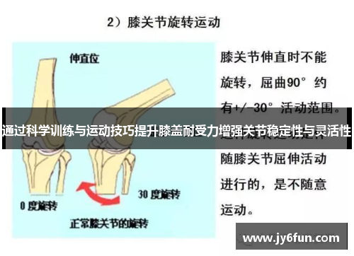 通过科学训练与运动技巧提升膝盖耐受力增强关节稳定性与灵活性